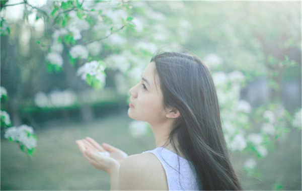 昌吉验血查男女几周可以验(验血查男女结果图)